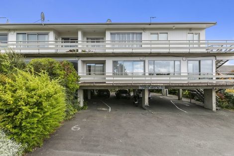 Photo of property in 19a Sheen Street, Roslyn, Dunedin, 9010