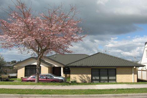 Photo of property in 8 Brodie Place, Bethlehem, Tauranga, 3110