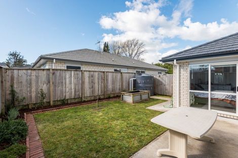 Photo of property in 1/103 Bruce Avenue, Glenview, Hamilton, 3206