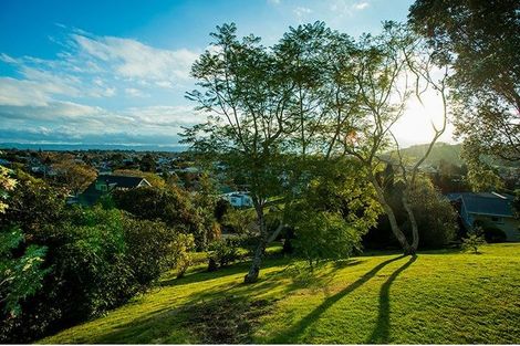 Photo of property in 45a Winter Street, Mangapapa, Gisborne, 4010