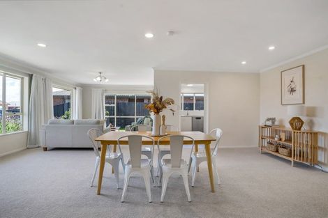 Photo of property in 7 Daley Place, Winton, 9720