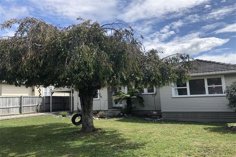 Photo of property in 21 Wilkes Street, Richmond, 7020