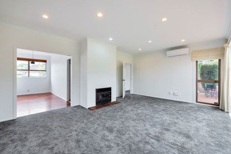 Photo of property in 6 Wendell Place, Greenlane, Auckland, 1061