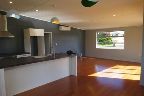 Photo of property in 461-465 Carrington Street, Upper Vogeltown, New Plymouth, 4310