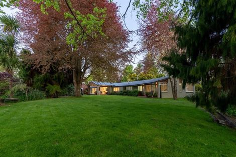 Photo of property in 255 Bankwood Road, Chartwell, Hamilton, 3210