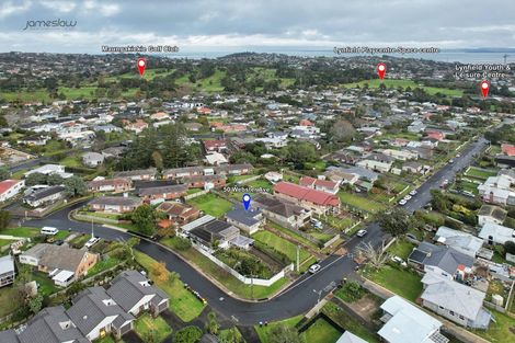Photo of property in 50 Webster Avenue, Mount Roskill, Auckland, 1041