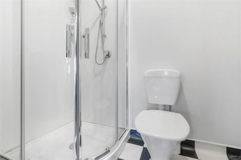 Photo of property in 14 Montgomery Street, Levin, 5510