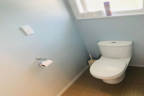 Photo of property in 29 Astley Avenue, New Lynn, Auckland, 0600