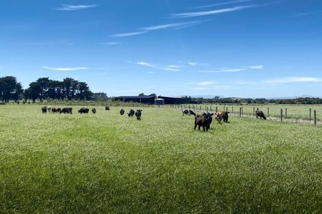 Photo of property in 490 Maharahara Road, Dannevirke, 4972