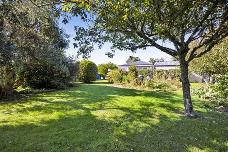 Photo of property in 77 Swansea Road, Stratford, 4332