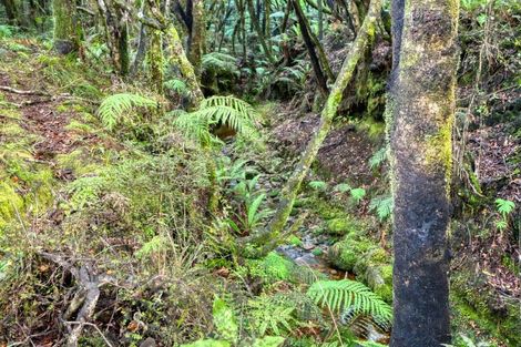 Photo of property in 67c Blue Spur Road, Blue Spur, Hokitika, 7882