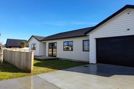 Photo of property in 217 Victoria Street West, Pukekohe, 2120