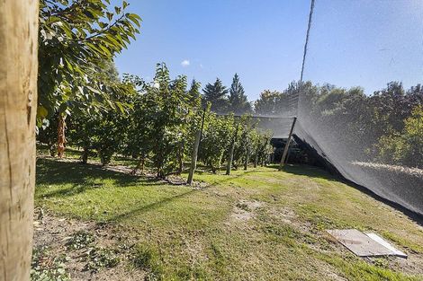 Photo of property in 244 Ripponvale Road, Cromwell, 9384