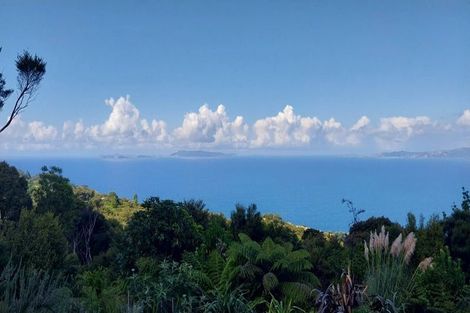 Photo of property in 525a Tuateawa Road, Tuateawa, Coromandel, 3583