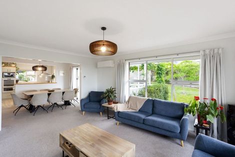 Photo of property in 51 Dinsdale Road, Dinsdale, Hamilton, 3204