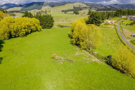 Photo of property in 9 Buckley Road, Shannon, Palmerston North, 4474