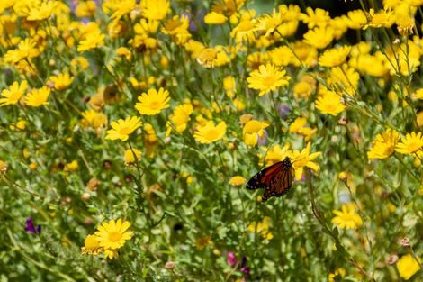 Photo of property in 90-92 Kiwi Road, Raumati Beach, Paraparaumu, 5032