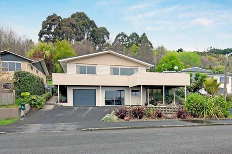 Photo of property in 49 Marlborough Crescent, Richmond, 7020