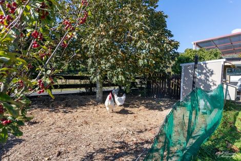 Photo of property in 270a Parkes Line Road, Maymorn, Upper Hutt, 5018