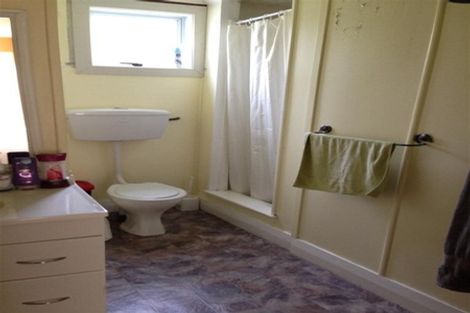 Photo of property in 17 Woodhaugh Street, Woodhaugh, Dunedin, 9010