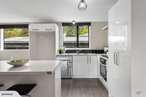 Photo of property in 60 Lyttelton Street, Somerfield, Christchurch, 8024