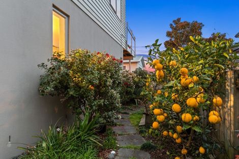 Photo of property in 10b Whitaker Street, Otumoetai, Tauranga, 3110