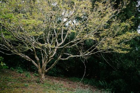 Photo of property in 15 Fenton Terrace, Cockle Bay, Auckland, 2014