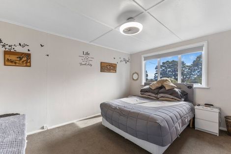 Photo of property in 114 Mangawhero Terrace, Ohakune, 4625