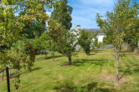 Photo of property in 297 Wakari Road, Helensburgh, Dunedin, 9010