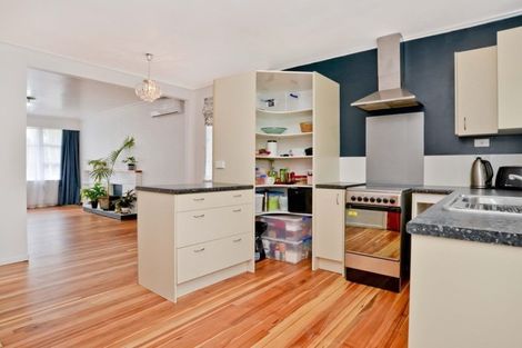 Photo of property in 19 Tomin Road, Glenview, Hamilton, 3206