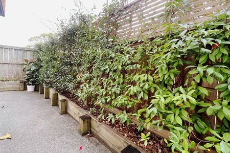 Photo of property in 1 Reg Pearce Way, Glen Innes, Auckland, 1072