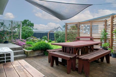 Photo of property in 141 Limbrick Street, Terrace End, Palmerston North, 4410