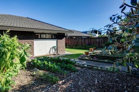 Photo of property in 1/8 Penzance Street, Marybank, Nelson, 7010