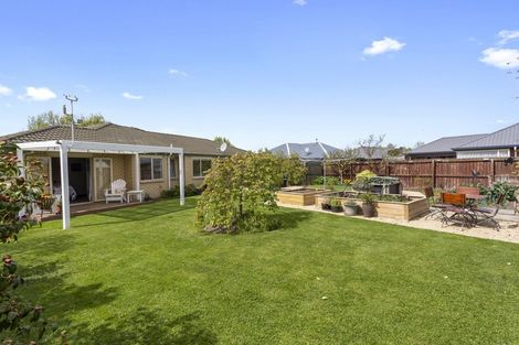 Photo of property in 60 Rowse Street, Rangiora, 7400