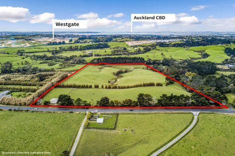 Photo of property in 257 Red Hills Road, Massey, Henderson, 0782