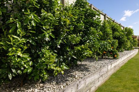 Photo of property in 6 Coad Lane, Pyes Pa, Tauranga, 3112