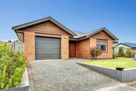 Photo of property in 17 Sherwood Place, Springvale, Whanganui, 4501