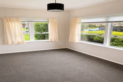 Photo of property in 46 Haultain Street, Fairfield, Hamilton, 3214