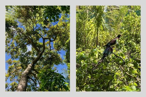 Photo of property in 248 Ohiwa Harbour Road, Waiotahe, Opotiki, 3198