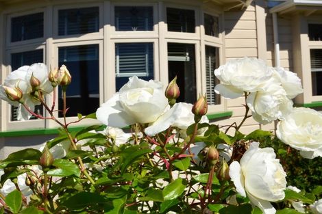 Photo of property in 146 Surrey Street, Forbury, Dunedin, 9012