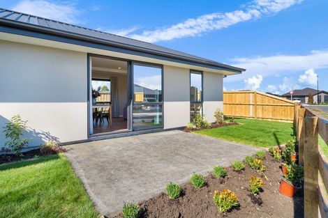 Photo of property in 2 Kotua Street, Woodend, 7610