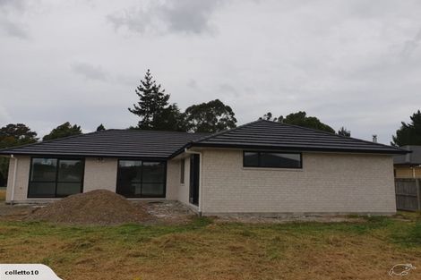 Photo of property in 56 Tamure Place, Ruakaka, 0116