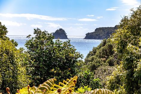 Photo of property in 20 Tutaritari Road, Hahei, Whitianga, 3591