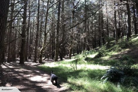 Photo of property in 79 Nash Parade, Foxton Beach, Foxton, 4815