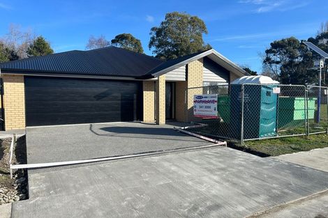 Photo of property in 24 Derbridge Street, Woodend, 7610