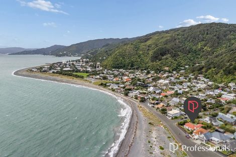Photo of property in 31 Konini Street, Eastbourne, Lower Hutt, 5013