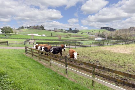 Photo of property in 814 Paparata Road, Mangatawhiri, Bombay, 2675