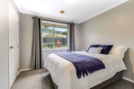 Photo of property in 16 Trinidad Place, Flagstaff, Hamilton, 3210