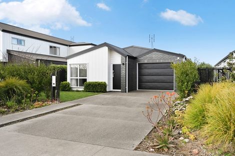 Photo of property in 518 Webb Drive, Chartwell, Hamilton, 3210