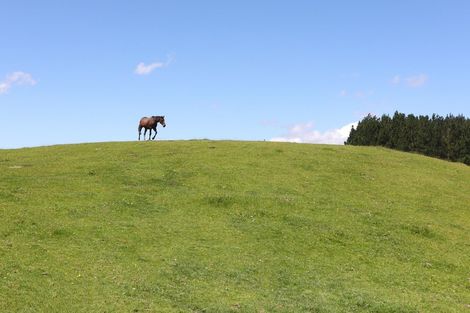 Photo of property in 50 Highland View Drive, Tokomaru, Palmerston North, 4474
